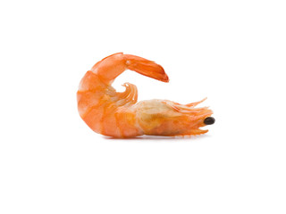 single shrimp