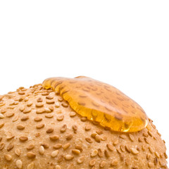 bun with sesame seeds and honey