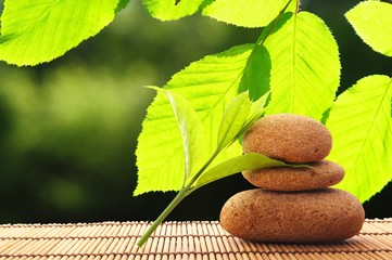 zen