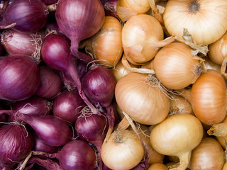 red and white onions background