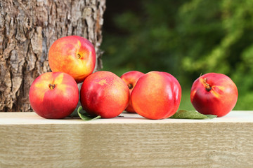 nectarines