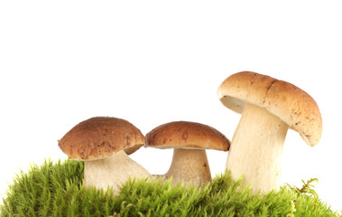 mushrooms