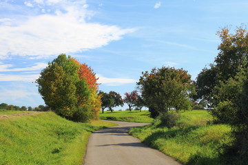 Herbst