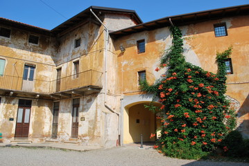 Courtyard with flowers, Grignasco, Piedmont, Italy