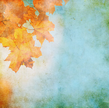 grunge background with autumn leaves