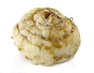 onion seed of crown imperial plant