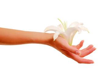 female hand with lily flower