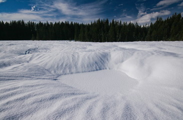 Fototapeta na wymiar snow covered fields, pokljuka forest, julijan alps