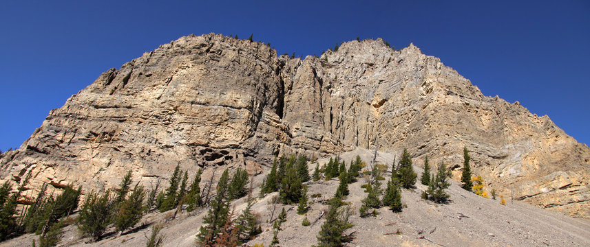 Levinski Ridge In Gallatin National Forest In Wyoming