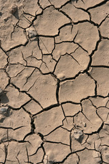 Trockenheit