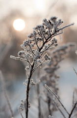 Beautiful winter landscape