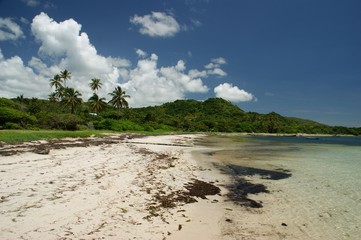 Plage de Cap chevalier - Martinique