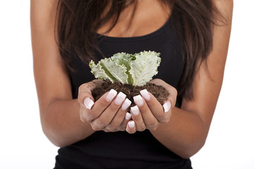 woman holding a small plant
