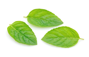 Fototapeta na wymiar Leaves of mint