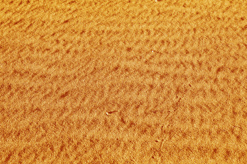 Orange sand. Background