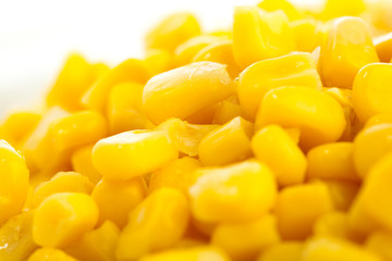 maize closeup