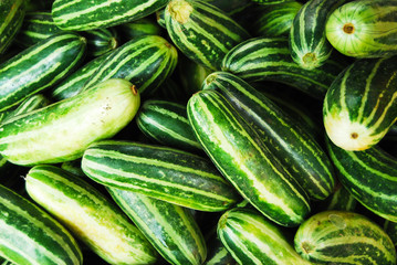 Many of cucumber in Thailand fresh market