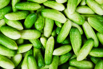 Many of cucumber in Thailand fresh market