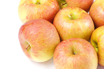 fresh apple fruit