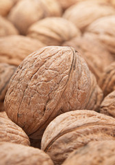 Walnut background