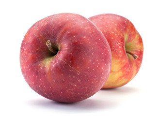 Ripe apple fruit