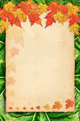 autumn background with colored leaves on old paper