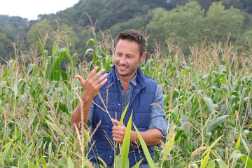 Agronomist analysing cereals in corn field © goodluz