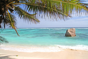 Beach with turquoise water and palm trees