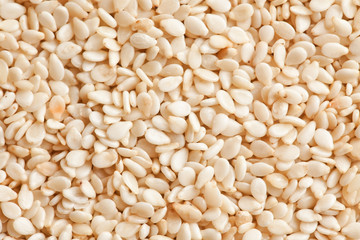 sesame background