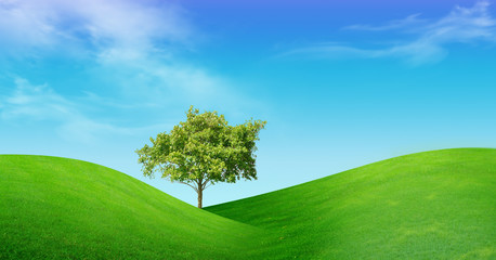 Fototapeta na wymiar Tree on green field
