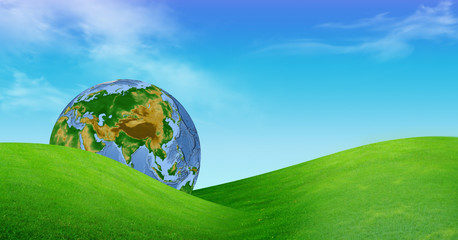 Earth globe in green grass conceptual