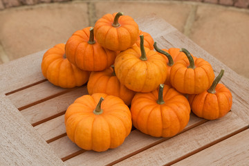 Pumpkins in a pile