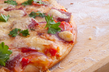 cheese and tomato pizza
