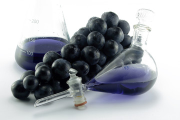 laborgläser mit weintrauben