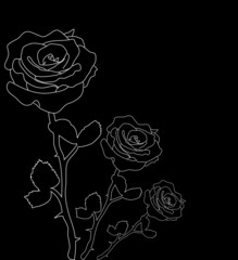 vector background with flowers