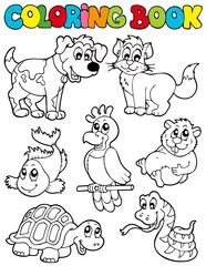 Photo sur Plexiglas Bricolage Livre de coloriage avec des animaux 2