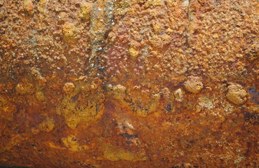 Rost