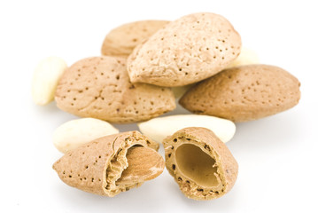 almond on white background