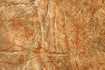 Detailed image of a linoleum