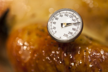 Food thermometer in turkey
