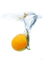 Mandarine fruit in water