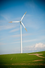 Fototapeta premium wind turbine farm