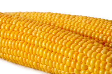 Початки кукурузы крупным планом.