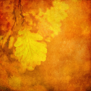 grunge background with autumn leaves