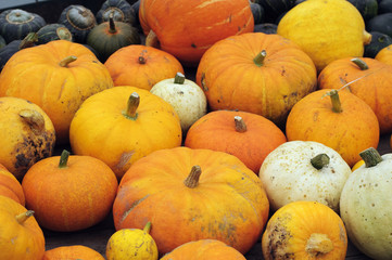 Pumpkins