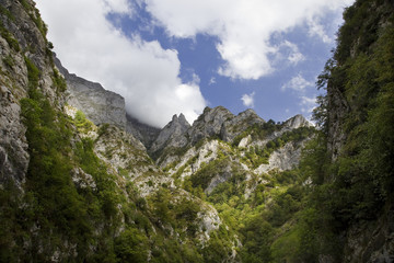 Desfiladero de los Beyos (Picos de Europa,Asturias)