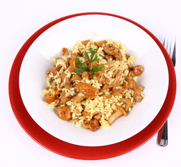 Risotto with mushrooms on a plate with parsley and a fork