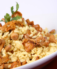 Risotto with mushrooms on a plate decorated with parsley