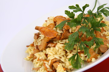 Risotto with mushrooms on a plate decorated with parsley