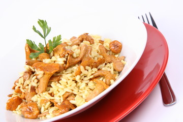Risotto with mushrooms on a plate with parsley and a fork